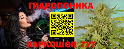 гашик Пыть-Ях
