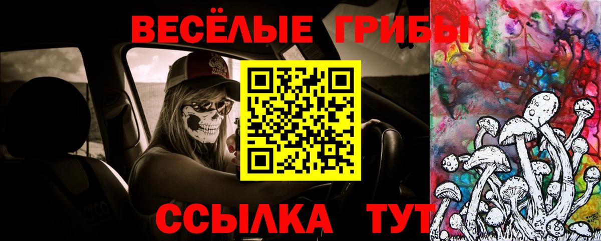 Псилоцибиновые грибы мухоморы Тосно