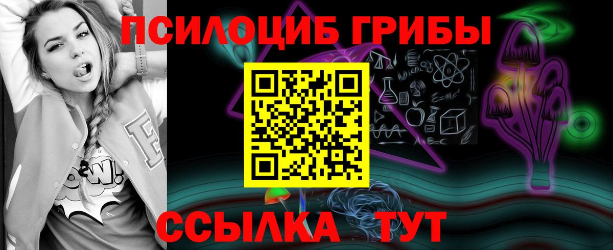 Галлюциногенные грибы мицелий  цена   Тосно  Вход с VPN 